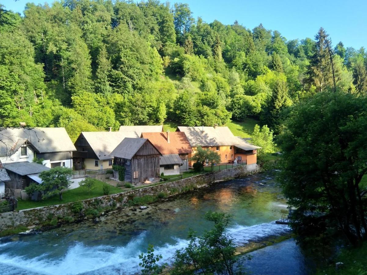 House By The River Villa Zgornje Gorje Eksteriør billede